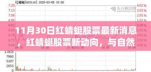 红蜻蜓股票最新动向,与自然共舞,启程心灵旅行时刻