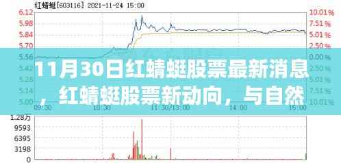 红蜻蜓股票最新动向,与自然共舞,启程心灵旅行时刻