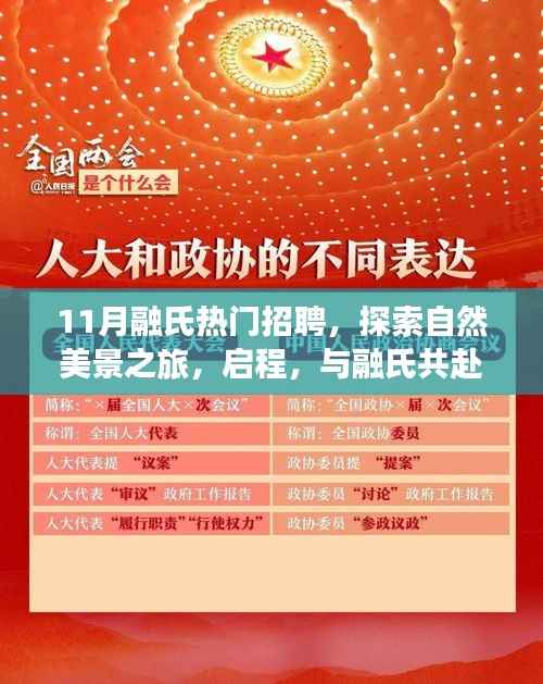 融氏十一月热门招聘,共赴自然美景的探索之旅