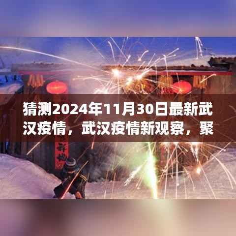 猜测2024年11月30日最新武汉疫情,武汉疫情新观察,聚焦2024年11月30日的预测与回顾
