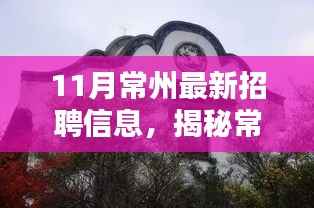 11月常州最新招聘信息,揭秘常州小巷深处的隐藏宝藏,一家特色小店的惊喜招聘信息