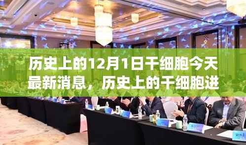 干细胞技术深度评测,历史进展与最新动态回顾及今日最新消息解析