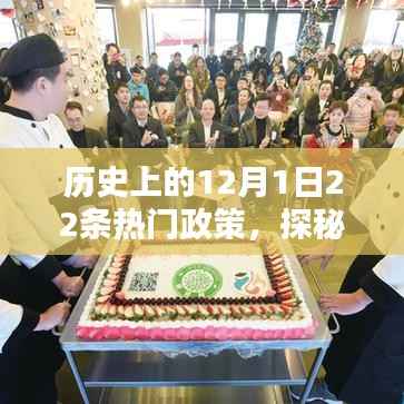 探秘历史热门政策日,十二月一日的热门政策与小巷深处的特色小店回顾