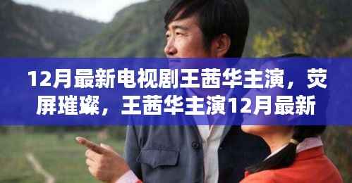 王茜华主演12月最新电视剧全解析,荧屏璀璨之旅
