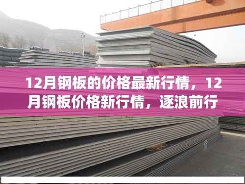 12月钢板价格行情更新,逐浪前行,成就之旅启程