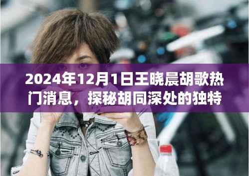 王晓晨胡歌探秘胡同美食,小巷中的秘密小店揭秘