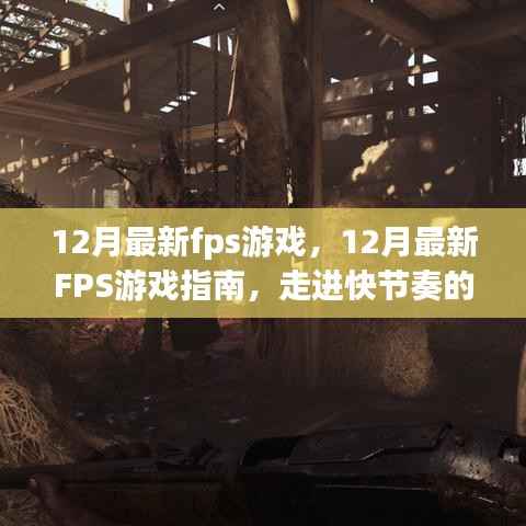 走进快节奏的射击世界,12月最新FPS游戏指南与指南解析