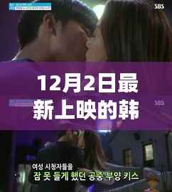 12月2日最新上映的韩国电影,最新韩国电影上映,深度探讨其吸引力与个人观点