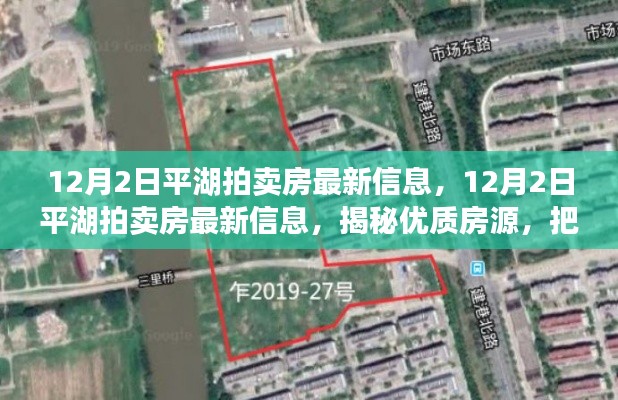 揭秘优质房源,把握投资先机,平湖拍卖房最新信息速递