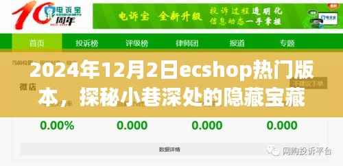 探秘小巷深处的宝藏，揭秘热门ecshop版本与特色小店的独特风情