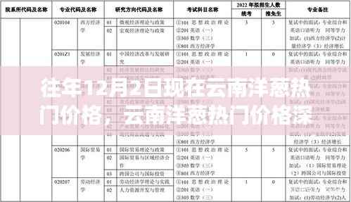 云南洋葱热门价格解析，深度探讨、特性体验、竞品对比与目标用户分析