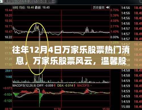 万家乐股票风云，十二月奇迹，股市中的友情与陪伴