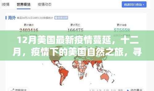 美国疫情蔓延下的自然之旅，寻找心灵的宁静与自然的魔法力量