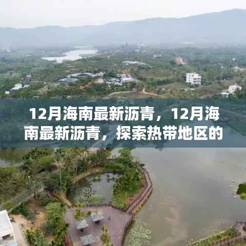 探索海南沥青之路，最新市场动态与热带地区沥青应用前景