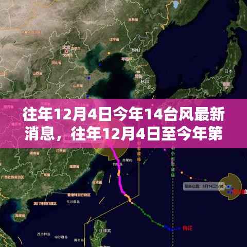往年与今年第14号台风最新消息全面评测与介绍，台风动态及影响分析