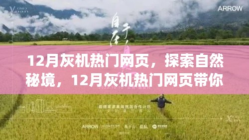 探索自然秘境，启程寻找心灵净土，领略宁静之美——十二月灰机热门网页之旅