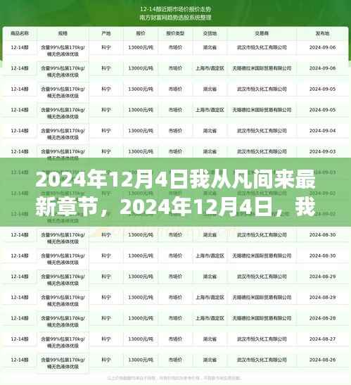 探索未知世界的奇幻之旅，2024年12月4日遇见凡间最新章节