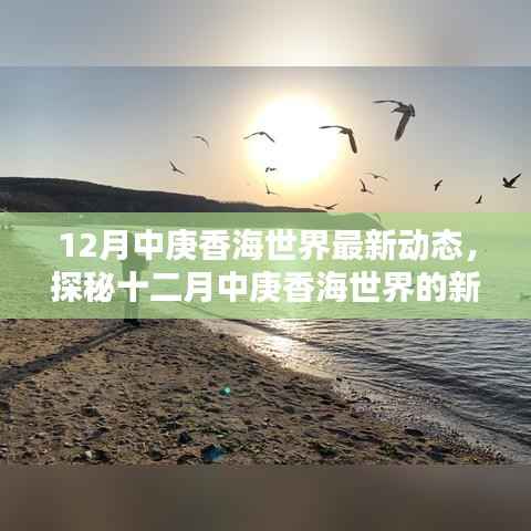 揭秘十二月中庚香海世界最新动态,三大要点深度解读