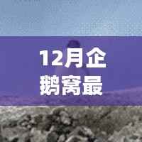 第1740页