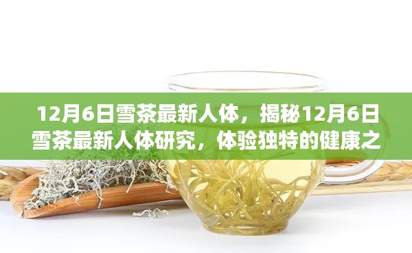 揭秘雪茶新人体研究，体验独特健康之旅在12月6日开启