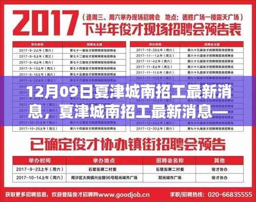 夏津城南招工最新动态，深度解读12月09日消息