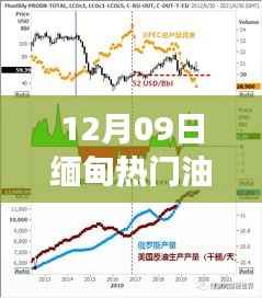 12月09日缅甸油价波动解析，多维度探究背后的原因