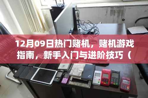 12月09日热门赌机游戏指南，从新手到进阶的技巧详解（附带违法警示）