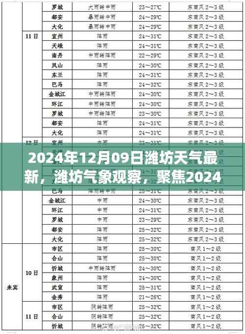 2024年12月09日潍坊天气预报与个人影响深度解析