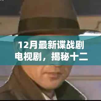 十二月最新谍战剧电视剧深度解析与探讨,剧情揭秘与探讨