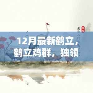 揭秘鹤立趋势，十二月最新鹤立鸡群奥秘独领风骚的潮流风采