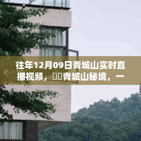 探寻秘境青城山，直播探寻内心平静的奇妙旅程