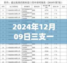 跃动未来，2024年三支一扶六月政策下的成长之路