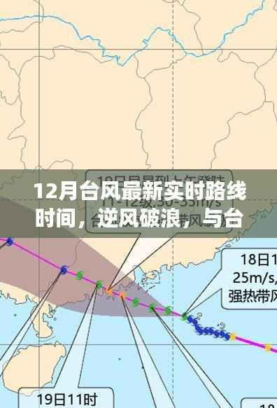 逆风破浪,台风实时路线下的学习之旅与自信成就感的探索