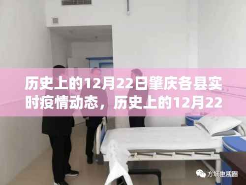 历史上的12月22日肇庆各县疫情动态回顾与洞察，实时疫情数据深度解析