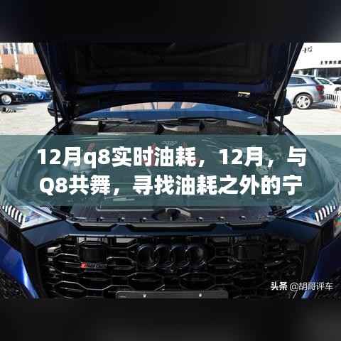 12月Q8实时油耗探索,共舞之旅,探寻油耗与美景的平衡