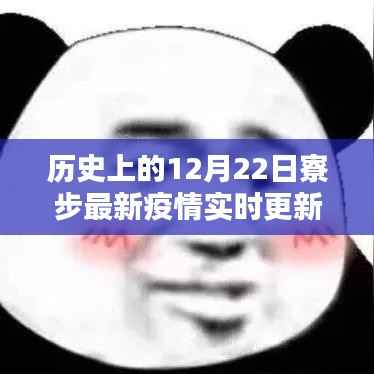 寮步疫情实时更新,历史交汇点与未来展望的励志篇章