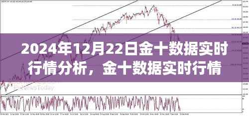 金十数据实时行情洞察,2024年12月22日市场深度分析。