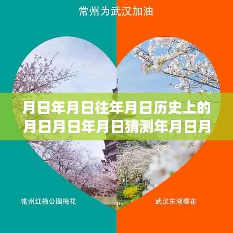 追寻自然美景的浪漫之旅,历史数据、实时确诊与月日月日的探索