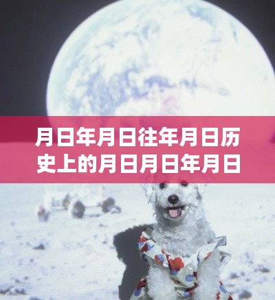 小狗记录仪,记录时空轨迹,见证成长历程,历史与现实的连结