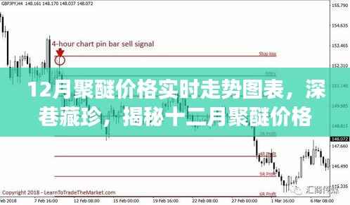 揭秘独特小店背后的十二月聚醚价格实时走势与深巷故事