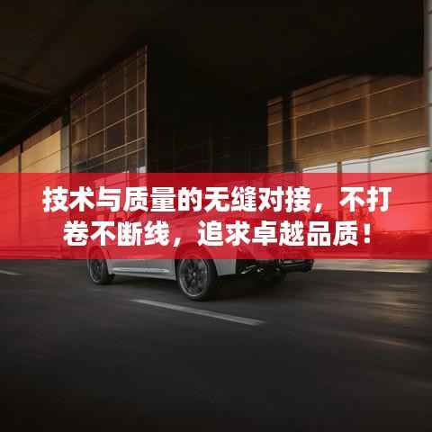 技术与质量的无缝对接,不打卷不断线,追求卓越品质!