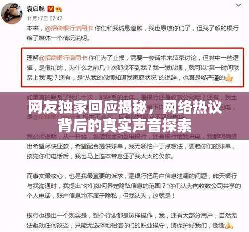 网友独家回应揭秘，网络热议背后的真实声音探索