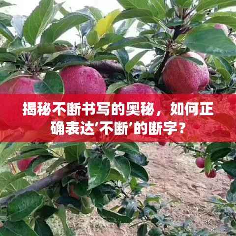 揭秘不断书写的奥秘,如何正确表达‘不断’的断字?