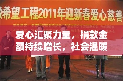 爱心汇聚力量,捐款金额持续增长,社会温暖照亮希望之光