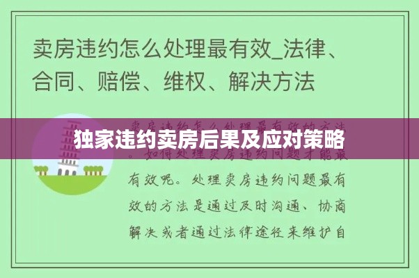 独家违约卖房后果及应对策略