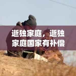 逝独家庭,逝独家庭国家有补偿吗