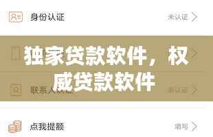独家贷款软件，权威贷款软件 