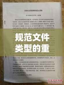 规范文件类型的重要性,实践与贯彻落实
