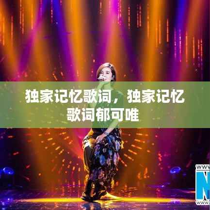 独家记忆歌词,独家记忆歌词郁可唯