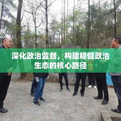 深化政治监督,构建稳健政治生态的核心路径
